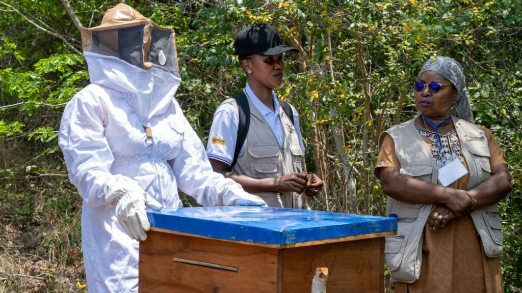 2025-10-30 Mozambique Klimaschutz terre des hommes-11 Imker in Mosambik, die im Rahmen eines Terre des Hommes Projekts ausgebildet werden.